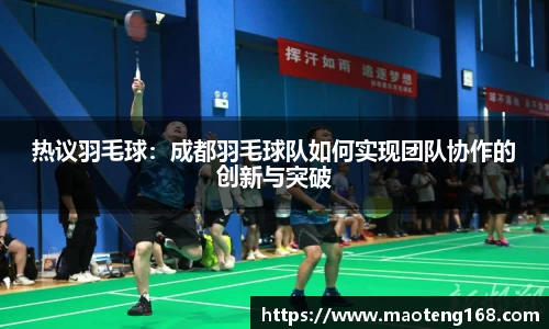 热议羽毛球：成都羽毛球队如何实现团队协作的创新与突破