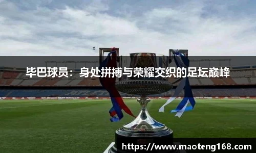 MK体育官方网站