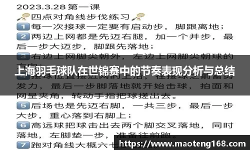 上海羽毛球队在世锦赛中的节奏表现分析与总结