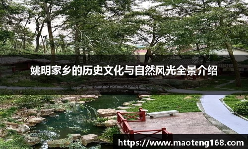 MK体育官方网站