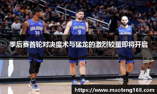MK体育官网
